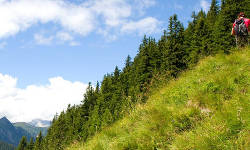 Wanderung auf den Staffel in der Jachenau 